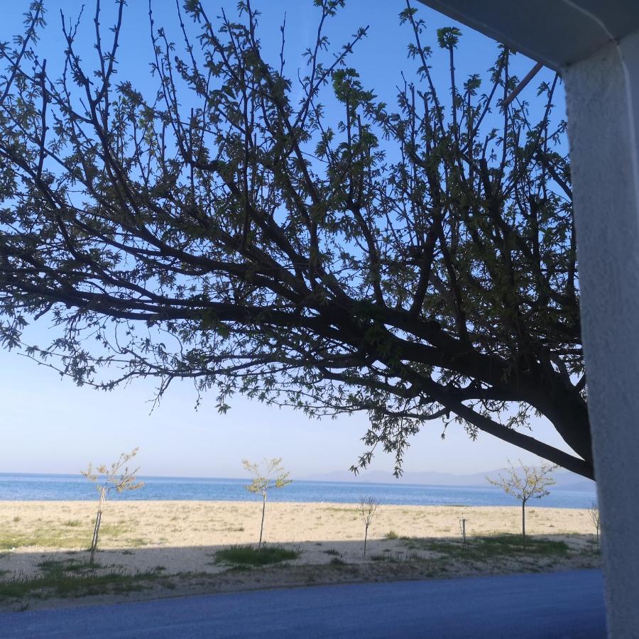 Greece Asprovalta Rooms Accomodation Apartment Hotel Petalo Eksteriør billede